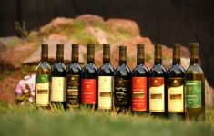 ღვინის სააგენტო - ქართული ღვინის ექსპორტი 13%-ით გაიზარდა