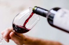 აშშ-ში ექსპორტირებული ღვინის რაოდენობამ რეკორდულ ნიშნულს მიაღწია