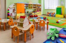 საბავშვო ბაღების ელექტრონული ბაზა შეიქმნება - ცვლილება კანონში