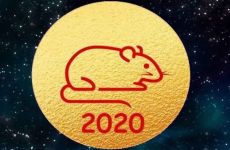 როგორ შევხვდეთ 2020 წელს 
