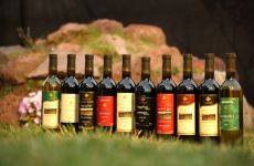 ღვინის სააგენტო - ქართული ღვინის ექსპორტი 13%-ით გაიზარდა